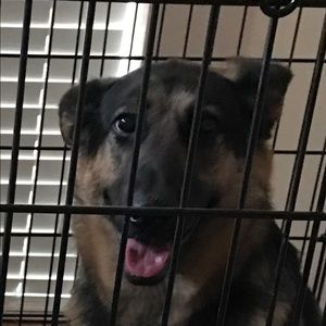 Meet your Posher, Makayla